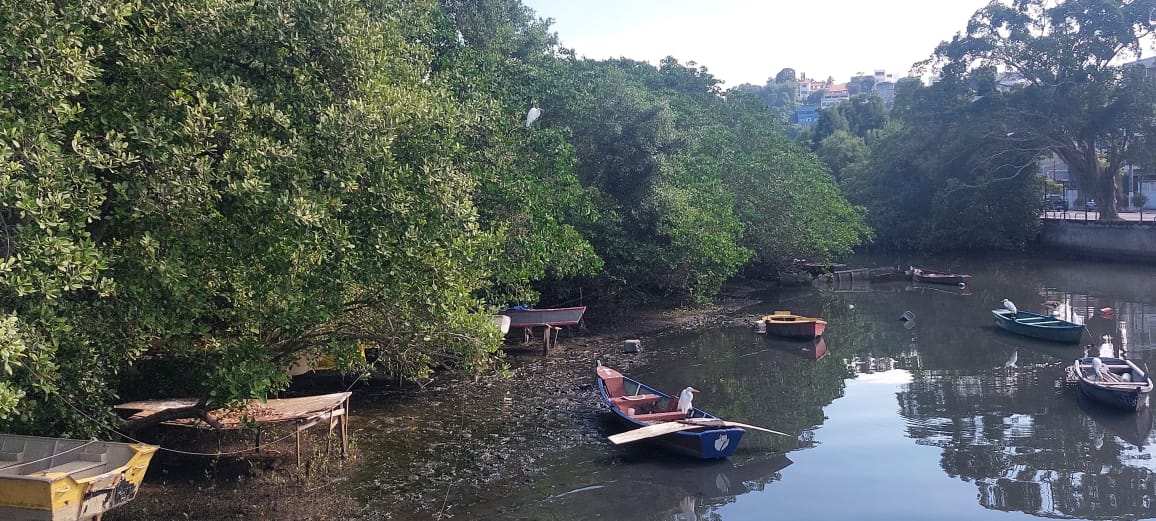 Paisagem de comunidades pelo clima